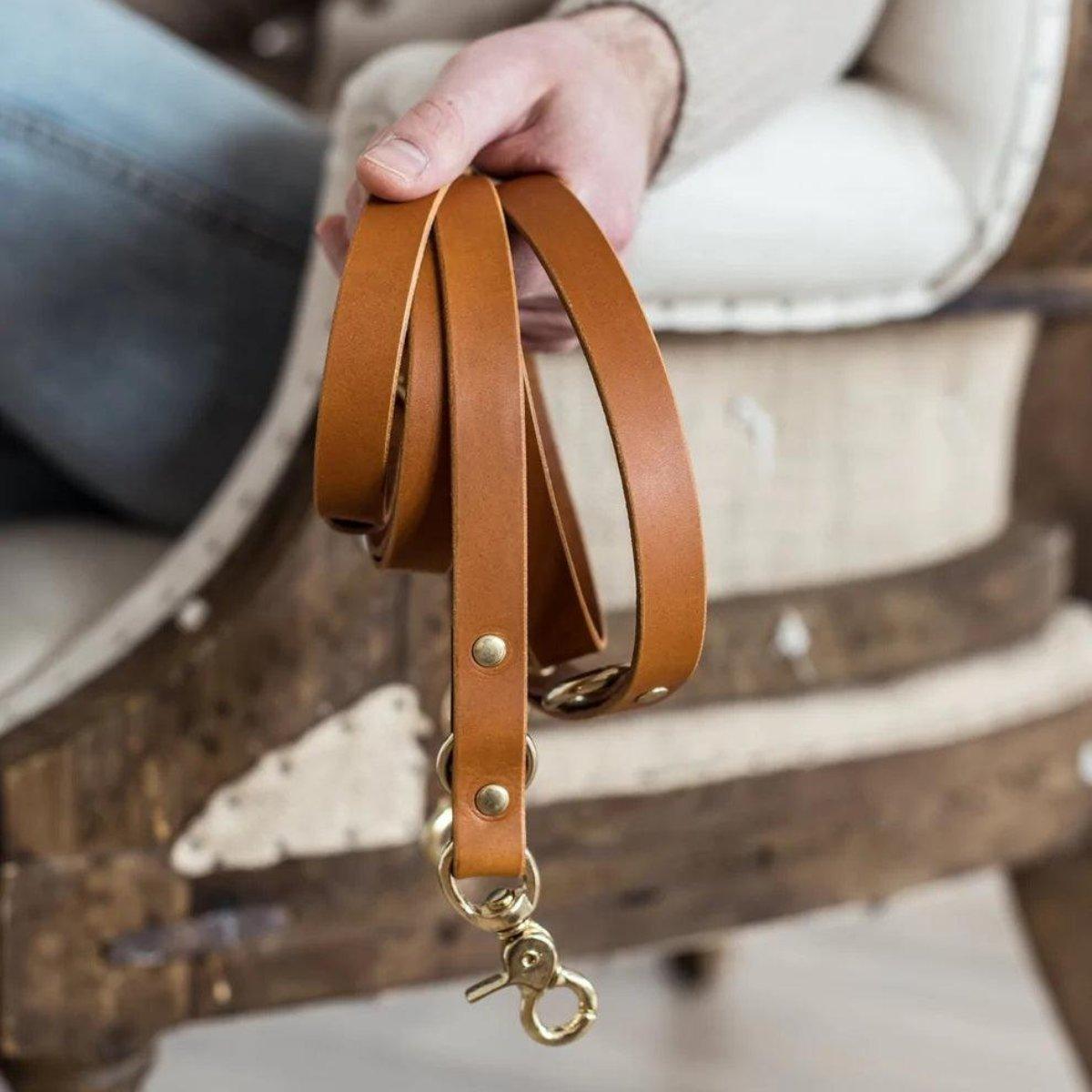 Laisse longue pour chien - LASSO - Kasibe