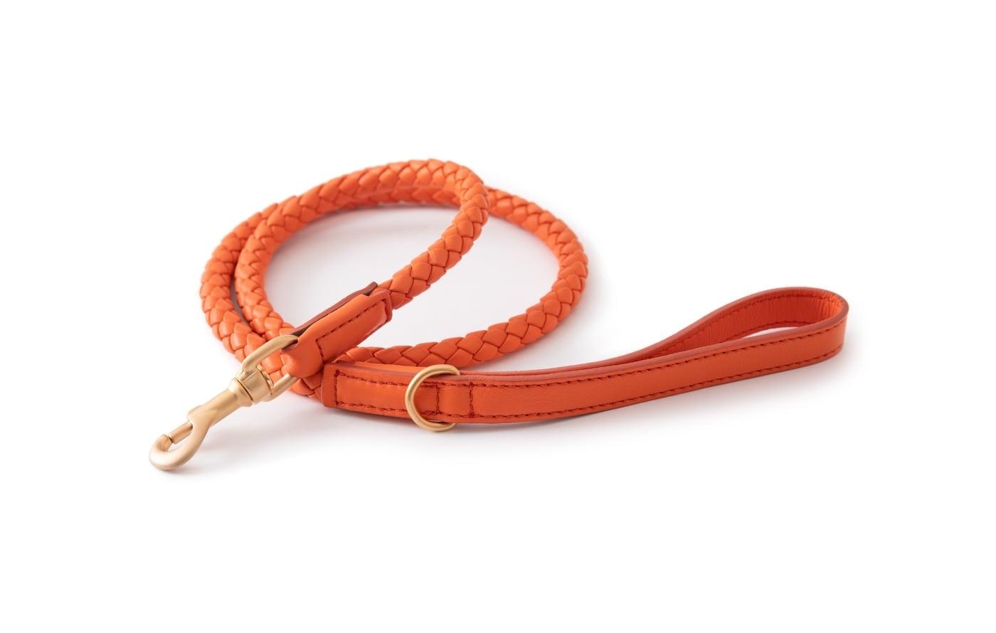 Laisse pour chien en cuir nappa - FERDINANDO - Kasibe