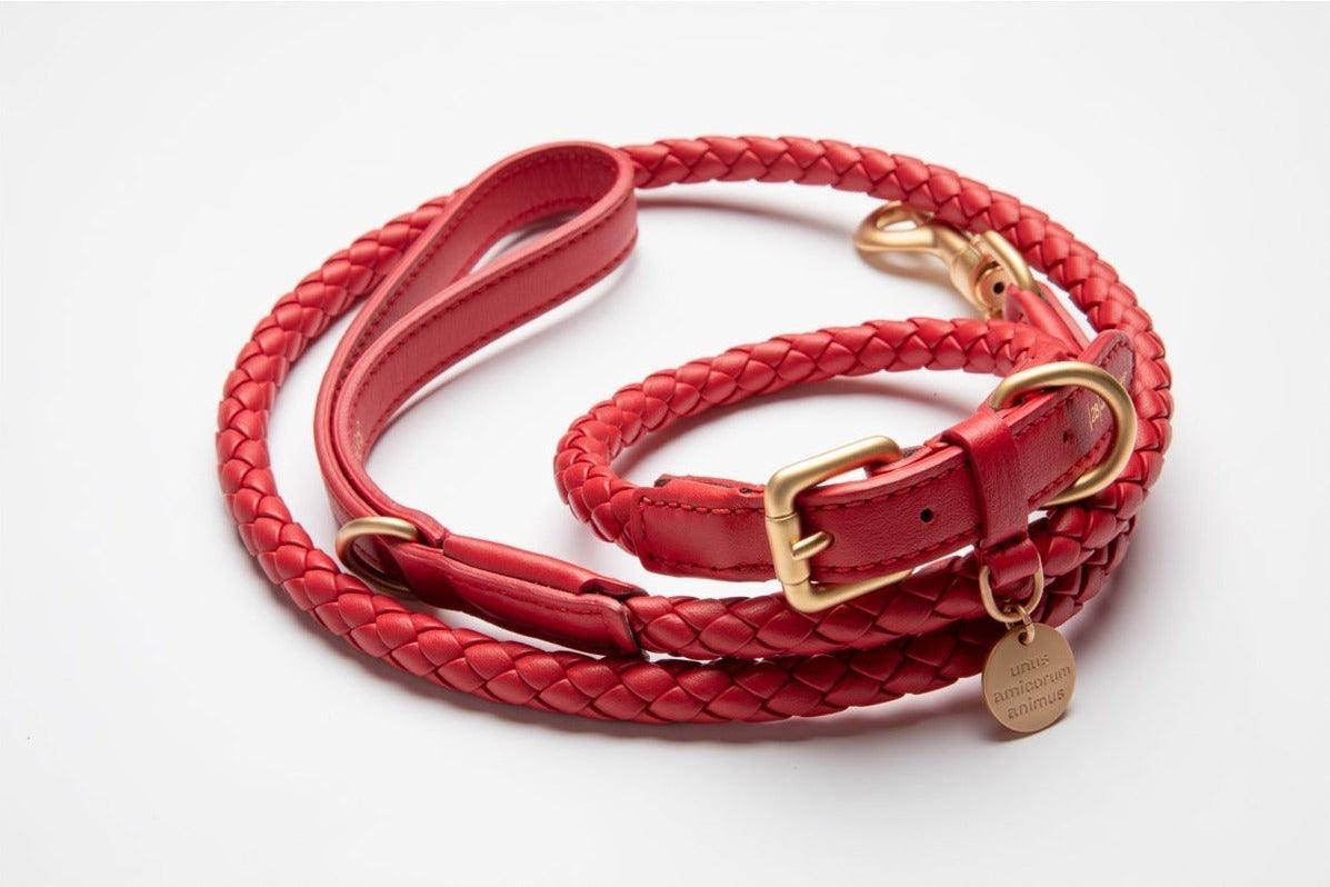 Laisse pour chien en cuir nappa - FERDINANDO - Kasibe