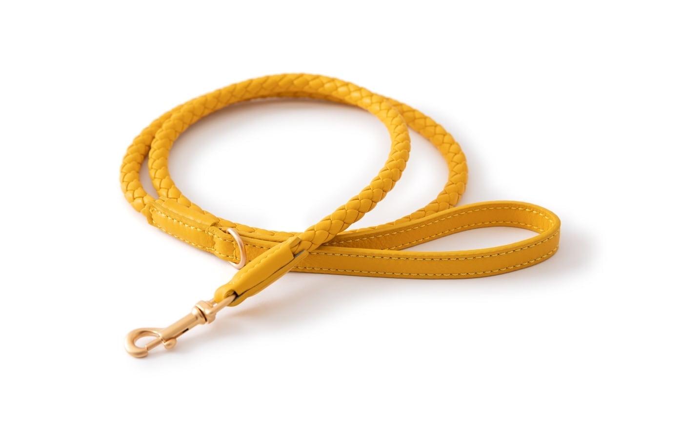 Laisse pour chien en cuir nappa - FERDINANDO - Kasibe