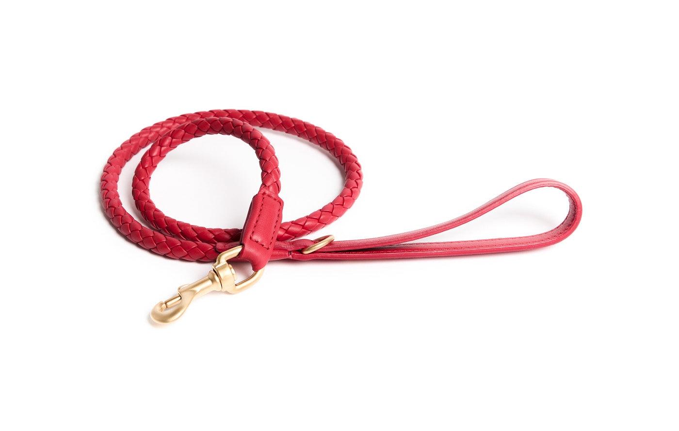 Laisse pour chien en cuir nappa - FERDINANDO - Kasibe