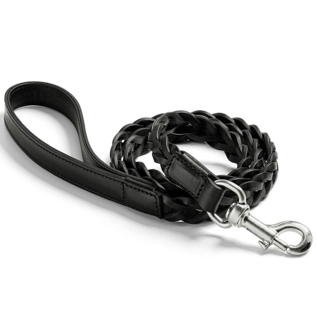 Laisse pour chien en cuir tressé - BERGAMO CITY - Kasibe