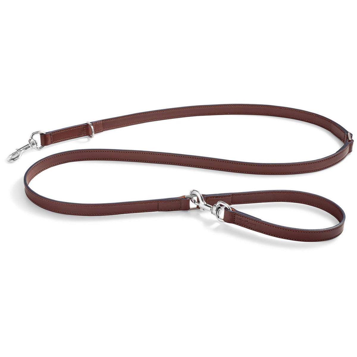 Laisse pour chien intemporelle - BERGAMO - Kasibe