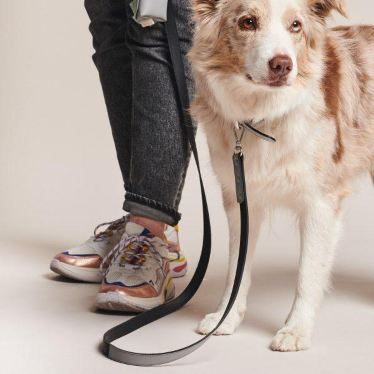 Laisse pour chien vegan avec coloris double - Kasibe