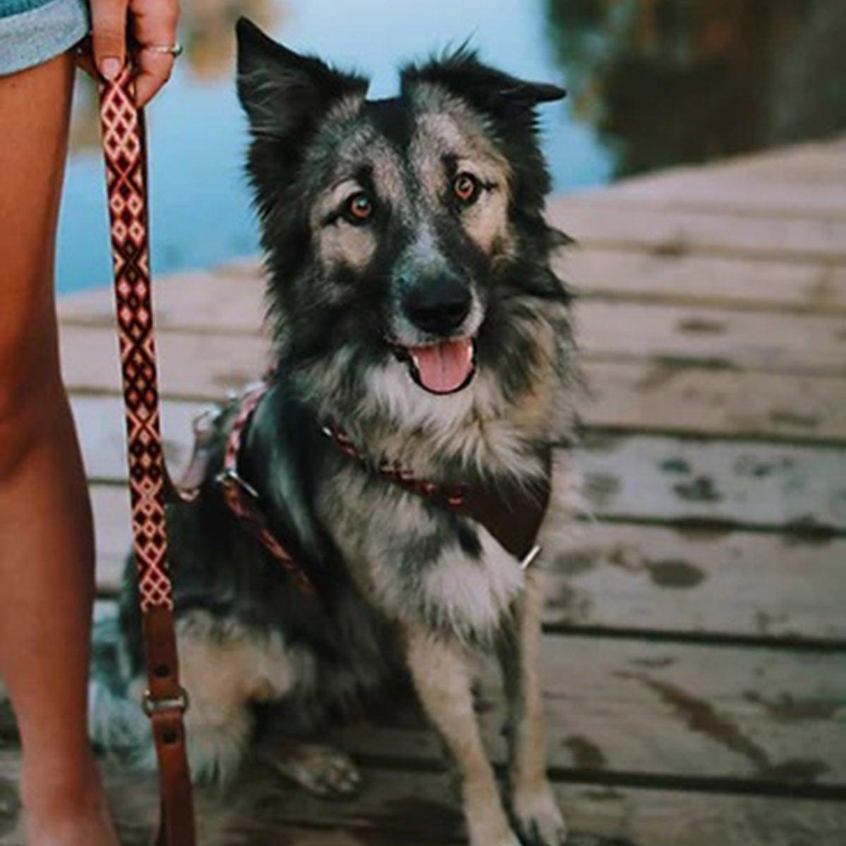 Laisse pour chien aux motifs mexicains brodée à la main - kasibe