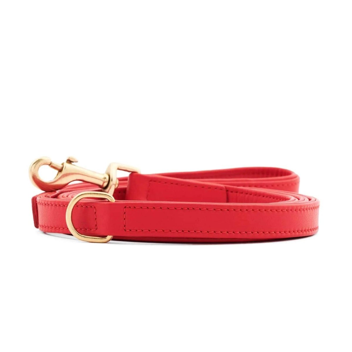 Laisses en cuir pour chien élégantes - PLAINE - Kasibe