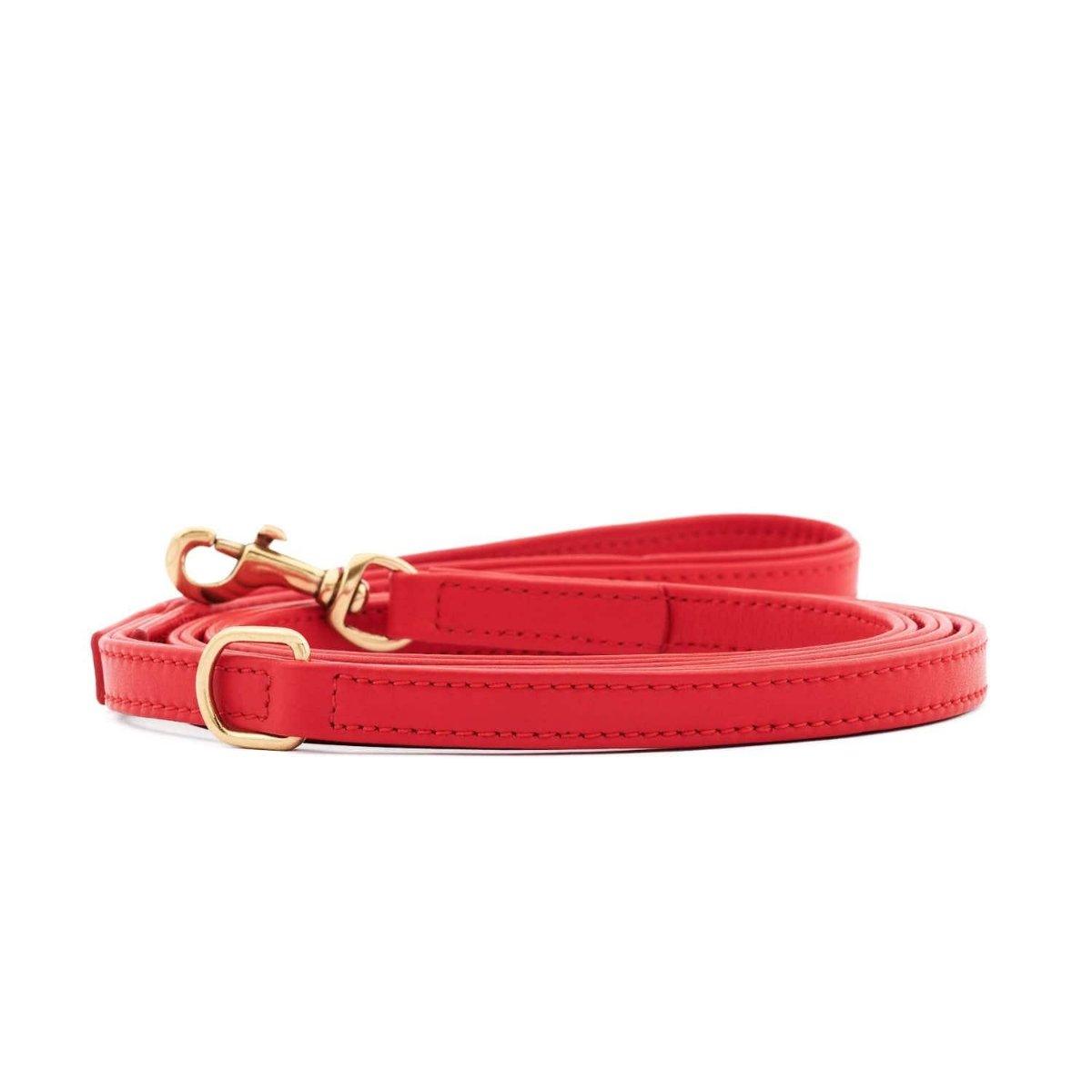 Laisses en cuir pour chien élégantes - PLAINE - Kasibe