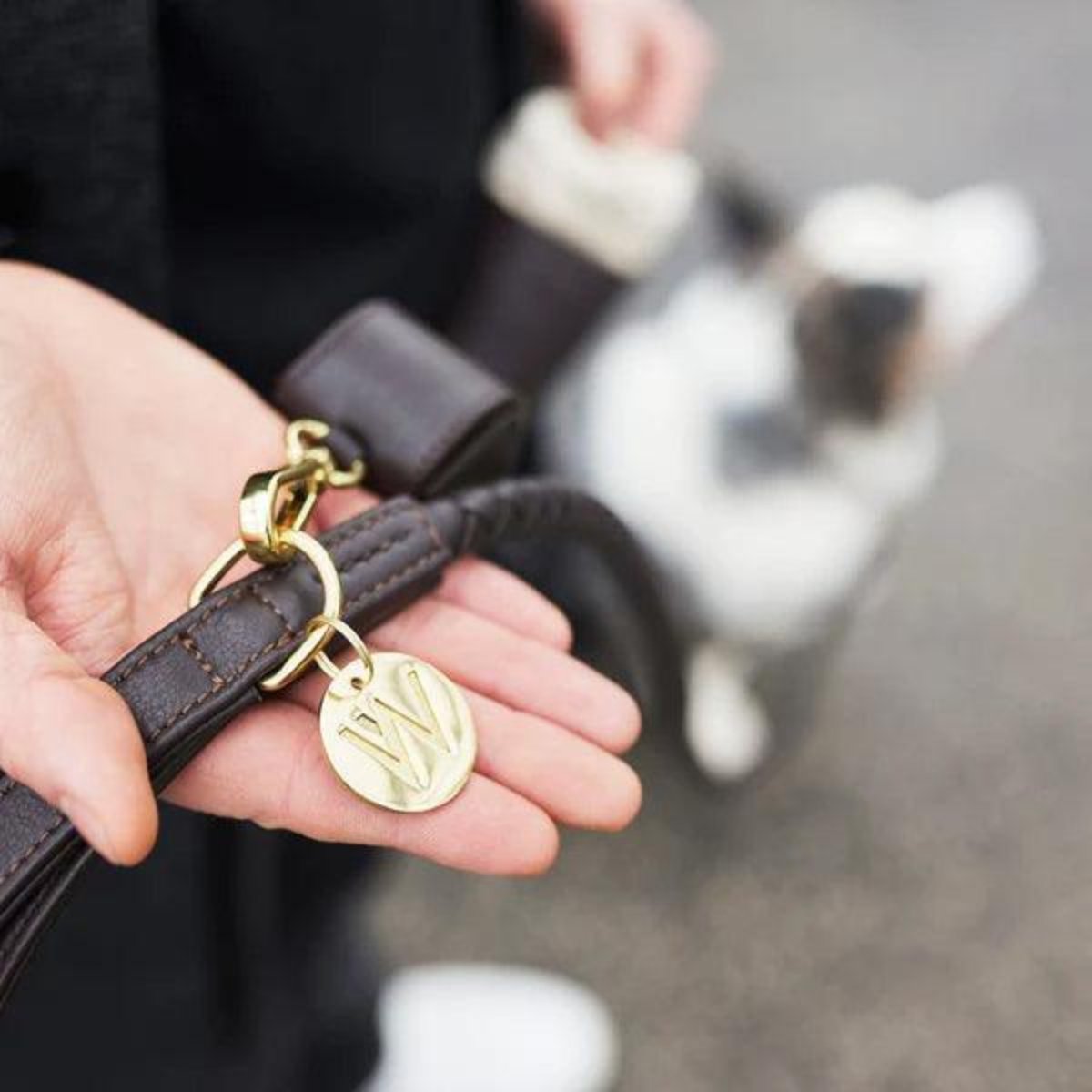 Laisses pour chien en cuir tressé - TWISTED - Kasibe