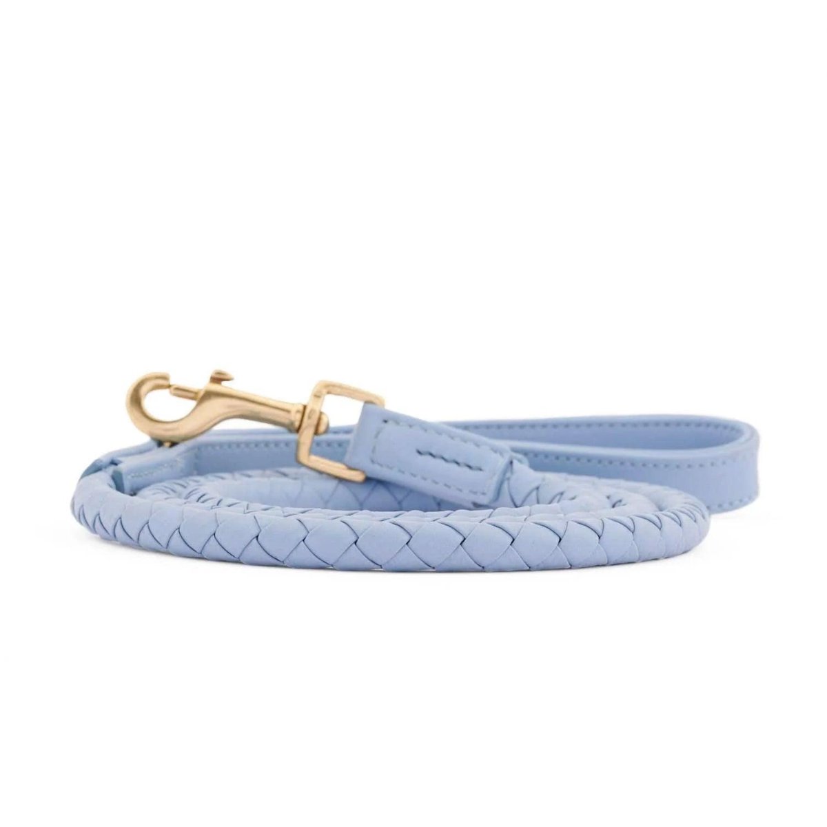Laisses pour chien en cuir tressé - TWISTED - Kasibe