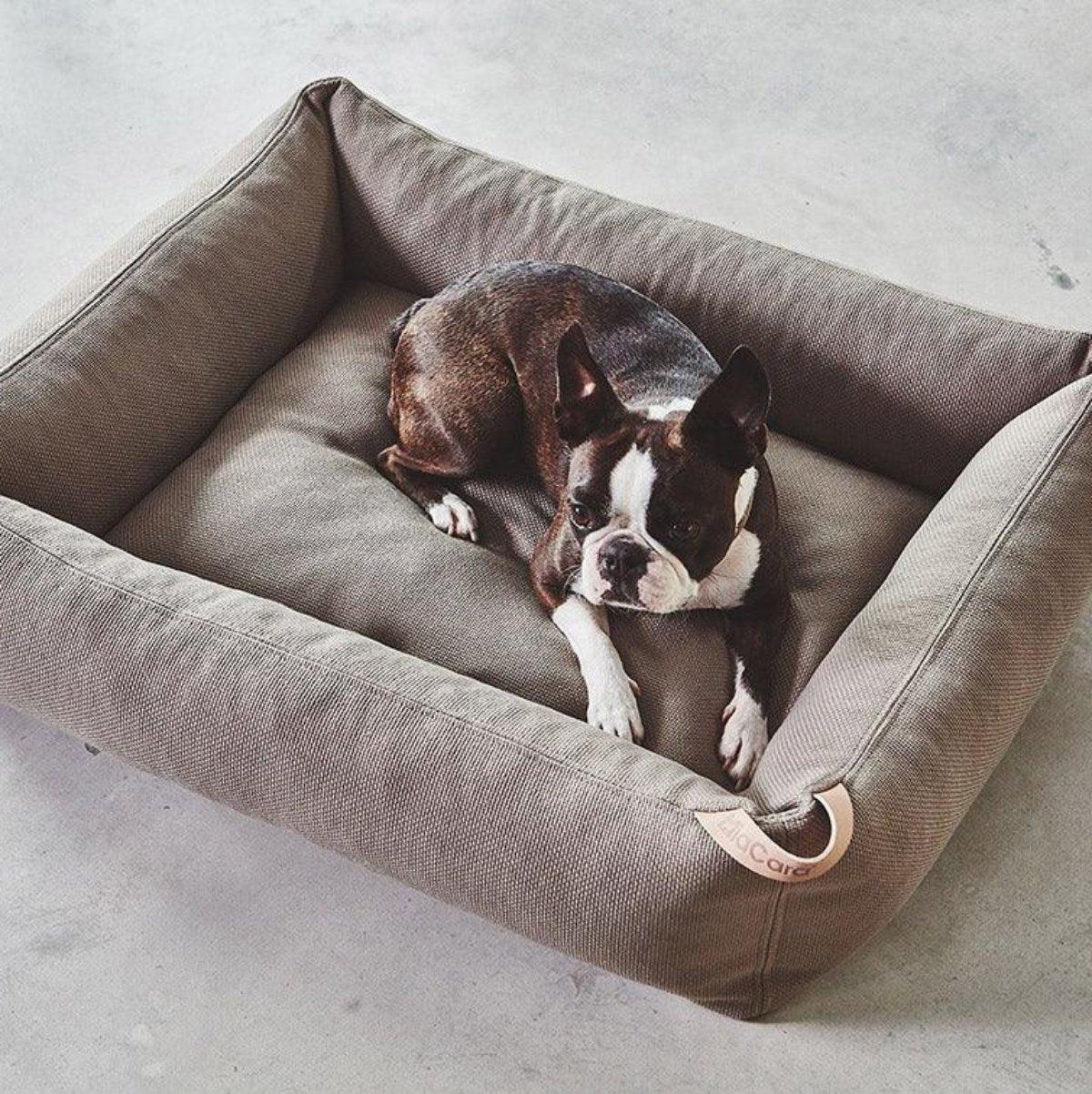 Lit box pour chien - SONNO - Kasibe