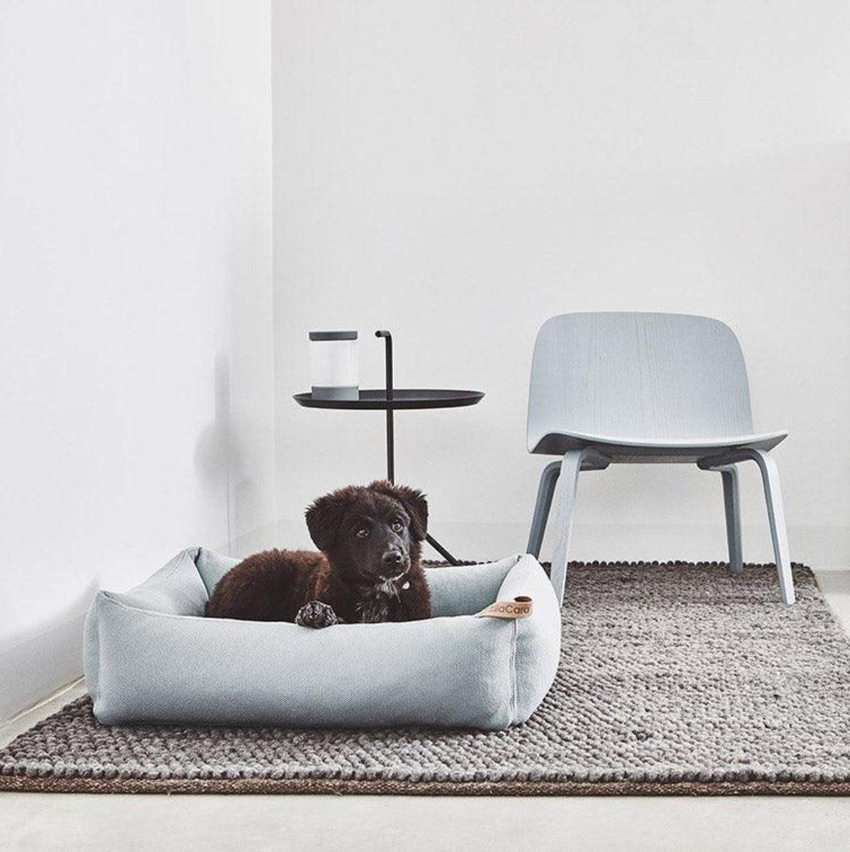 Lit box pour chien - SONNO - Kasibe