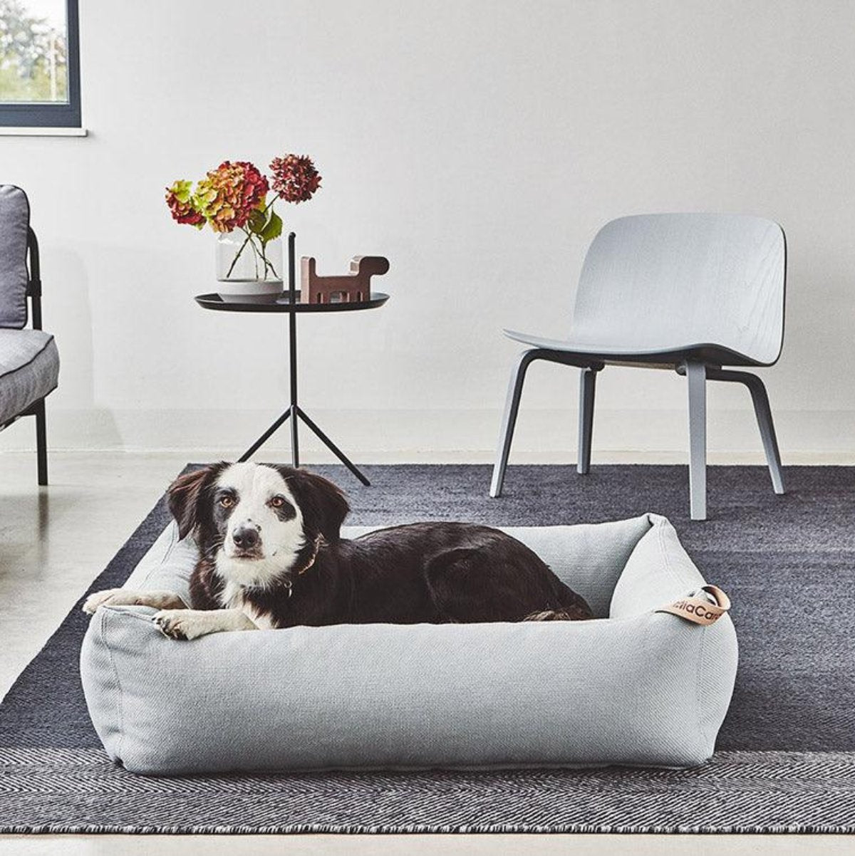 Lit box pour chien - SONNO - Kasibe