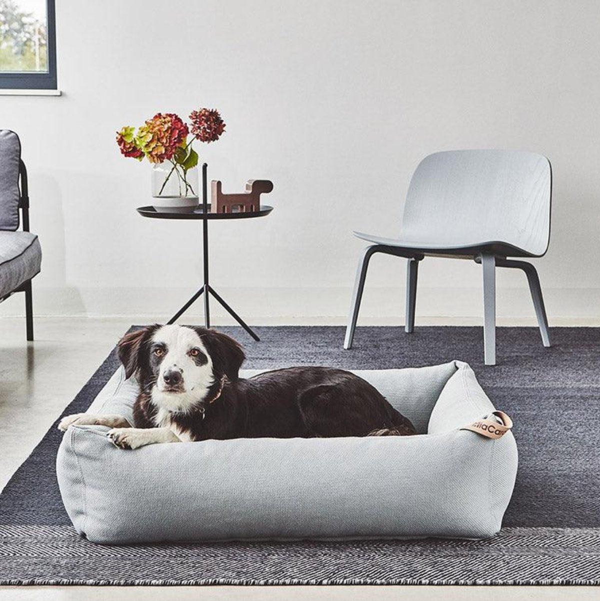 Lit box pour chien - SONNO - Kasibe