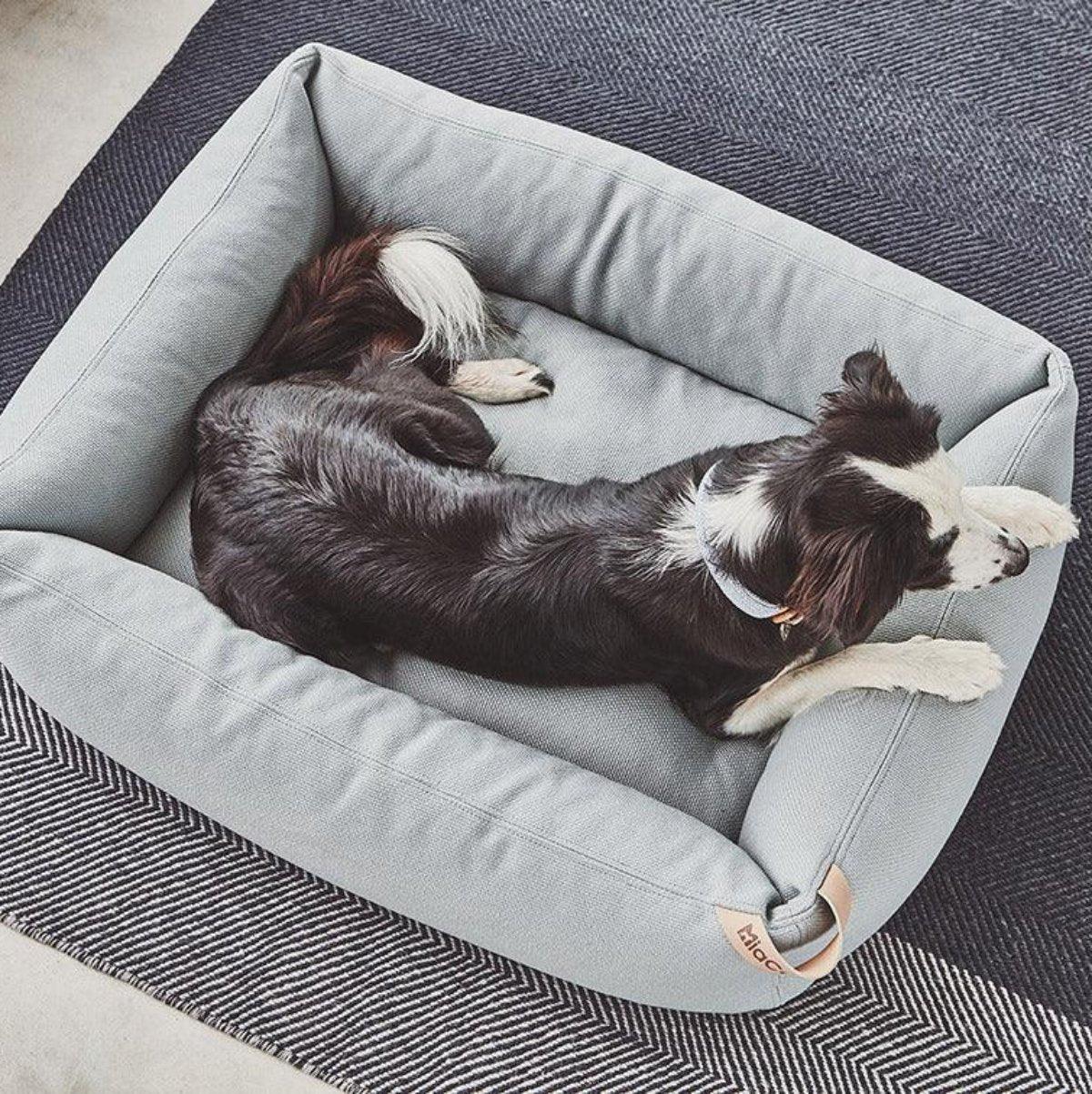 Lit box pour chien - SONNO - Kasibe