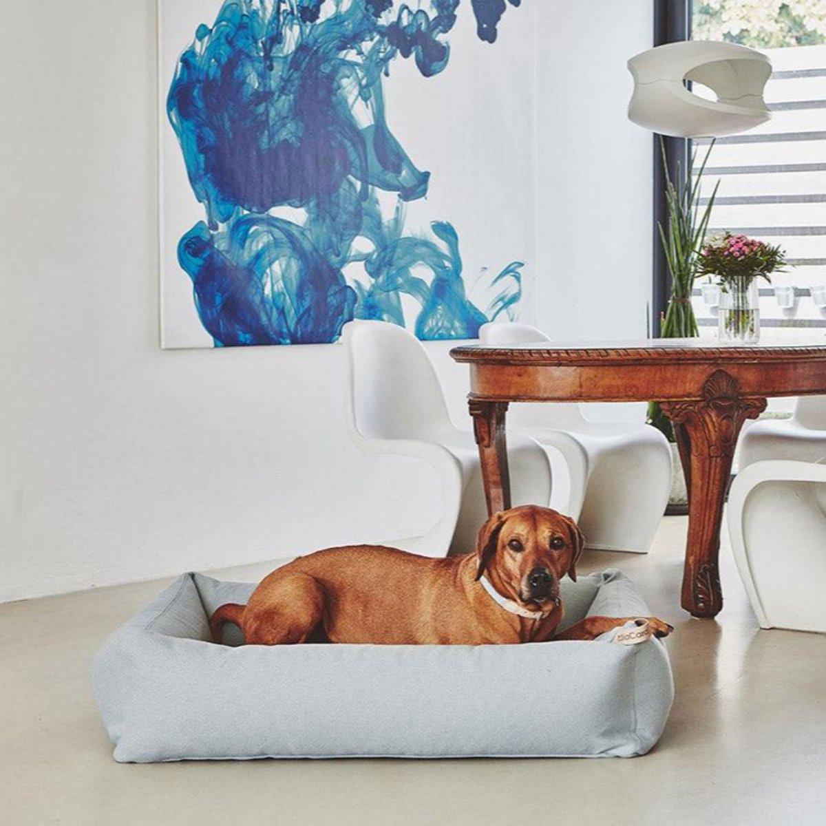 Lit box pour chien - SONNO - Kasibe