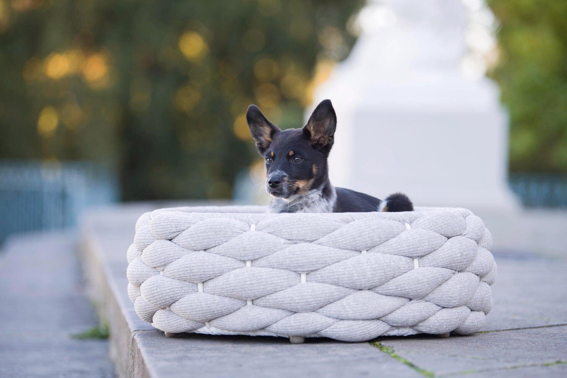 Lit design pour chien - RIVA - Kasibe