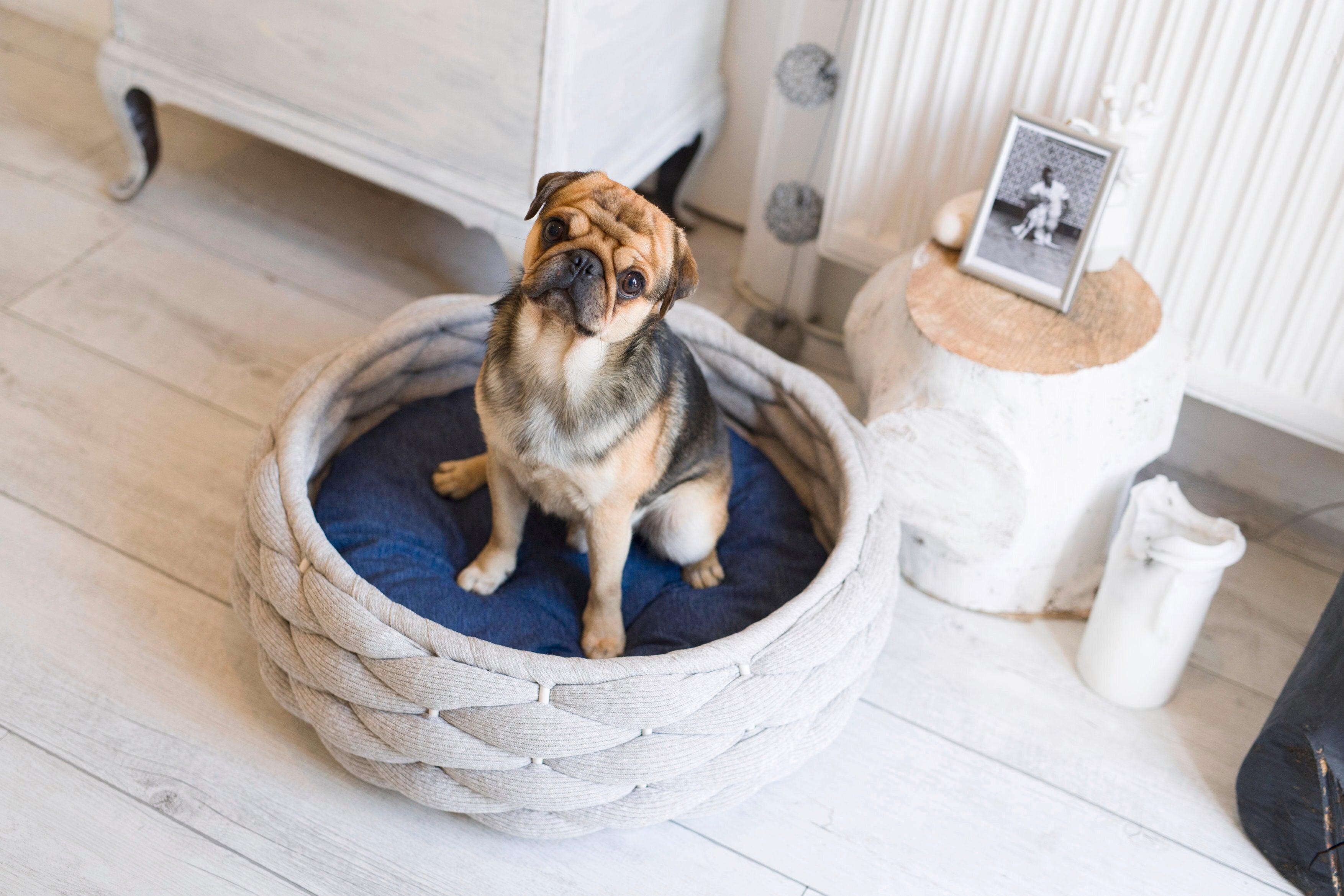 Lit design pour chien - RIVA - Kasibe