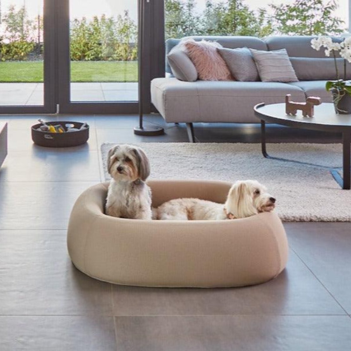 Lit pour chien moderne - BARCA - Kasibe