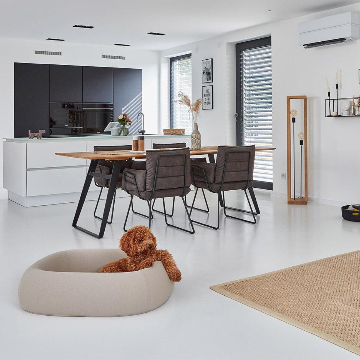 Lit pour chien moderne - BARCA - Kasibe