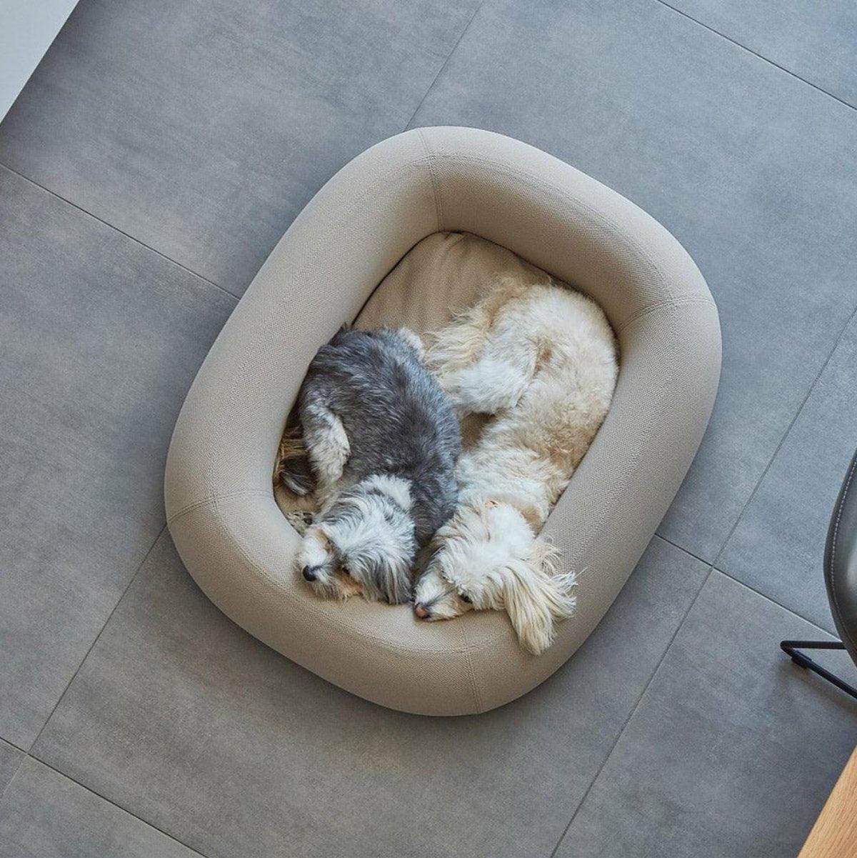 Lit pour chien moderne - BARCA - Kasibe