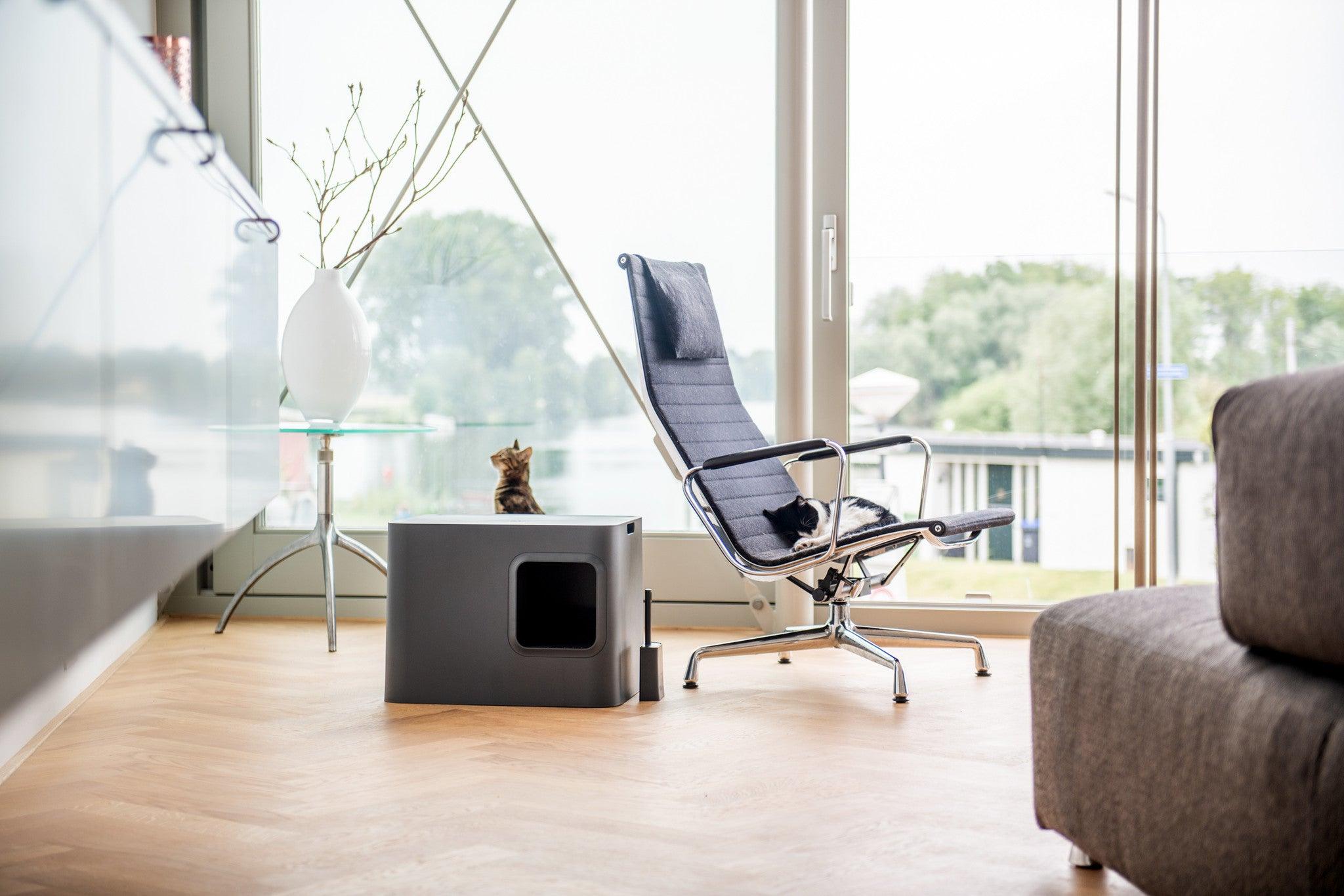 Litière Hoopo pour chat design - LE DOME - Kasibe