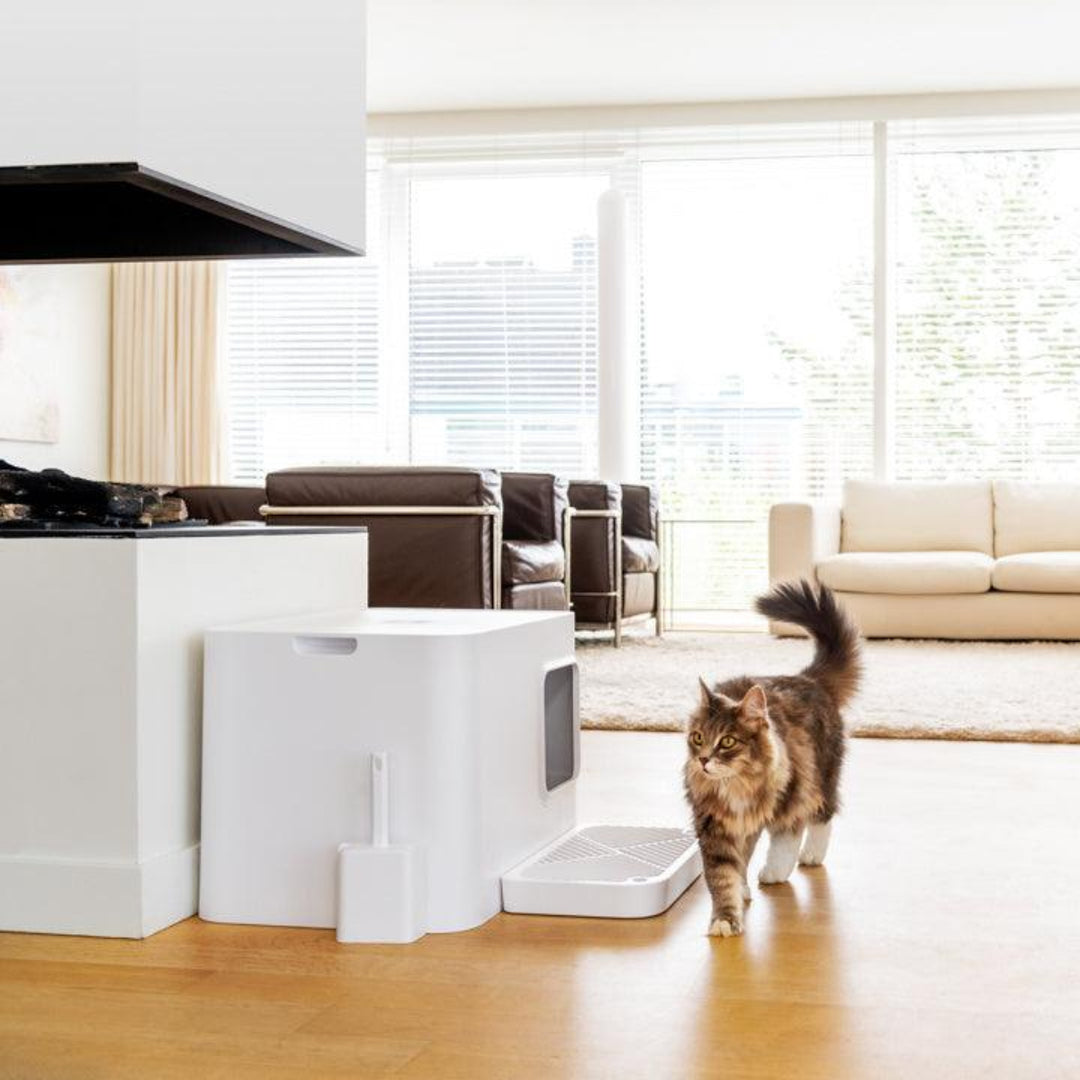 Litière Hoopo pour chat design - LE DOME - Kasibe
