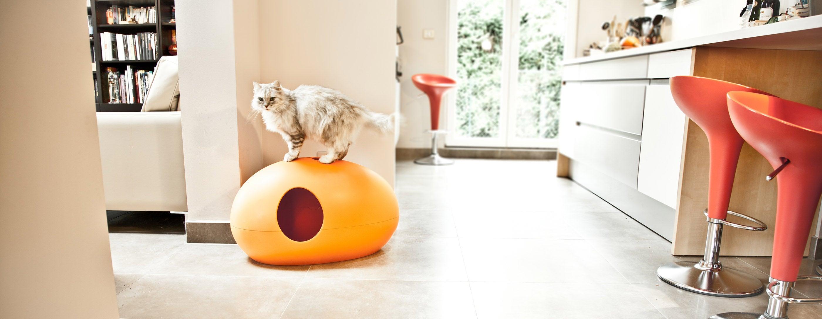 Maison de toilette pour chat design - BULLE - Kasibe