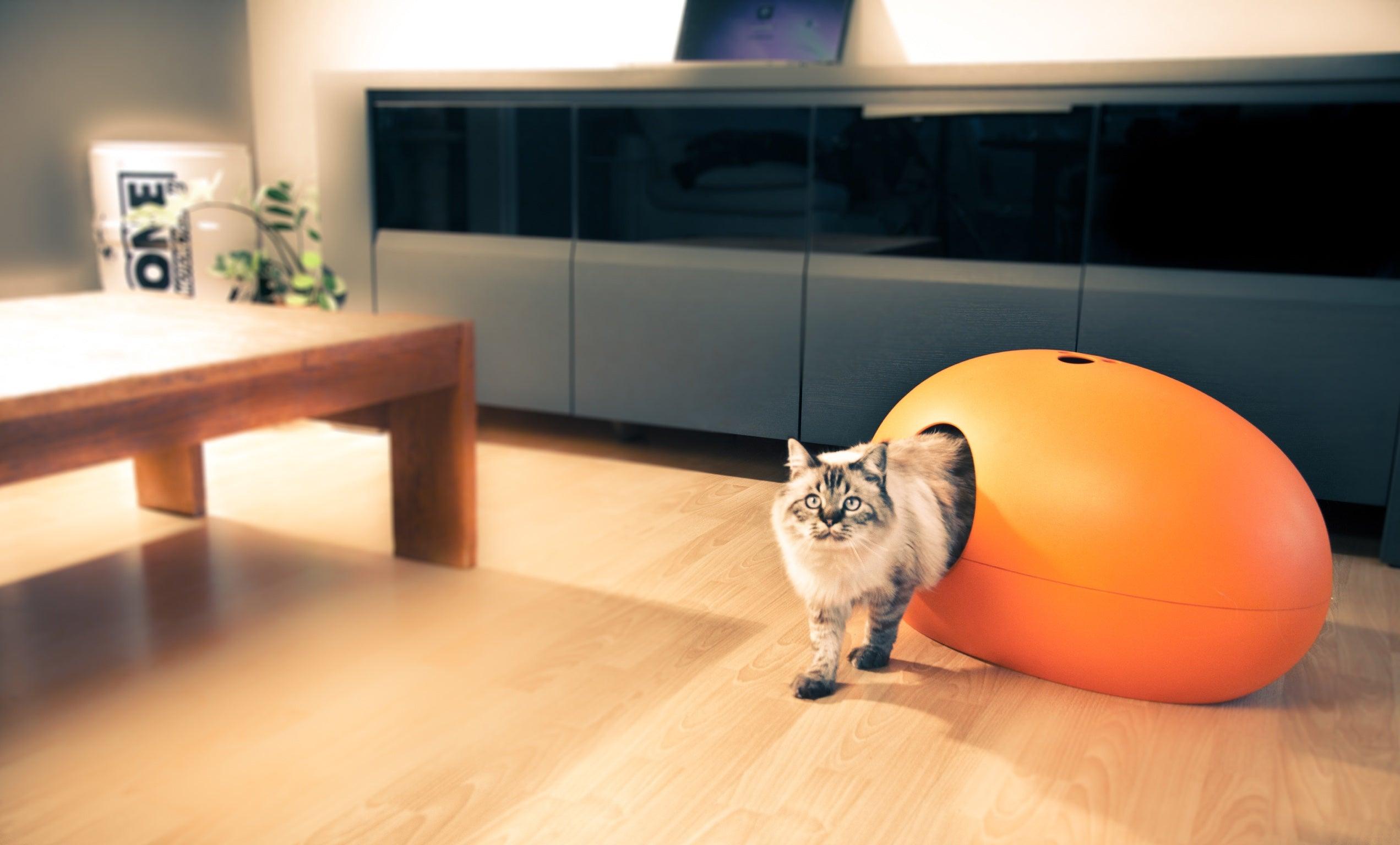 Maison de toilette pour chat design - BULLE - Kasibe