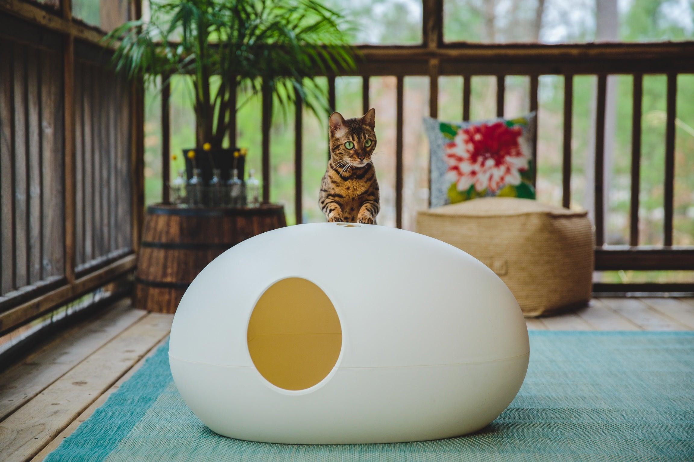 Maison de toilette pour chat design - BULLE - Kasibe