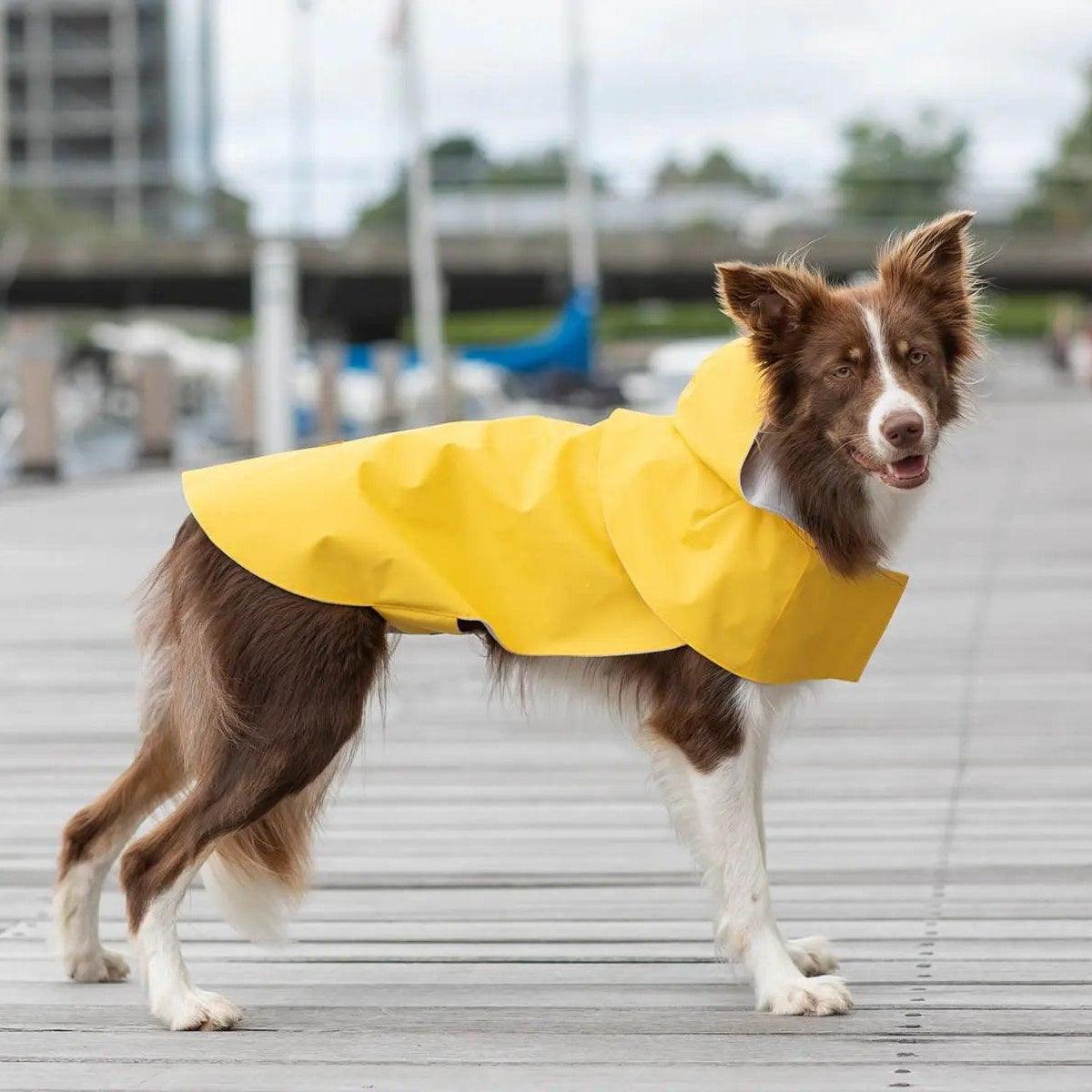 Manteau imperméable pour chien - STORM - Kasibe