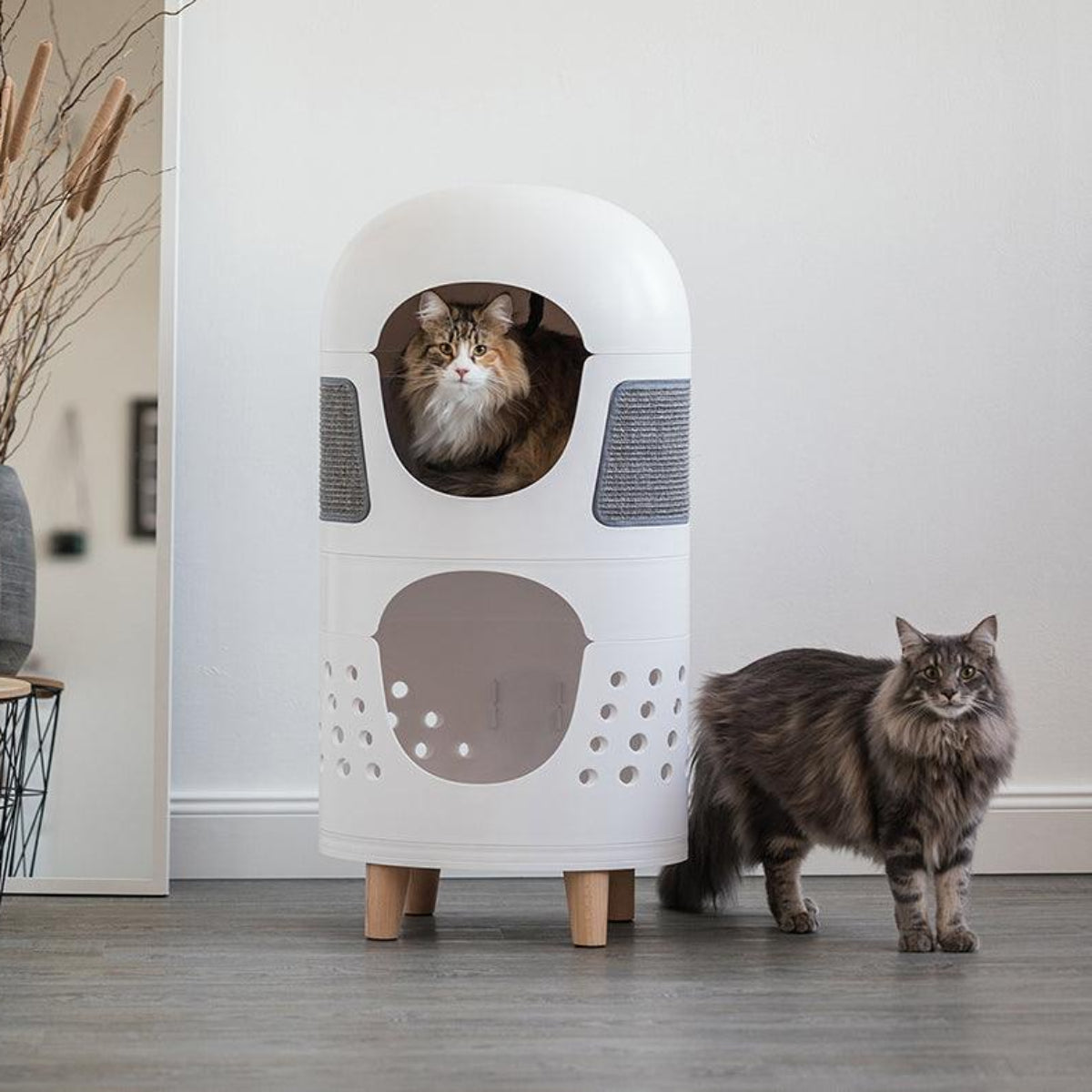 Meuble design pour chat : Catrub one répond à tous ses besoins - kasibe