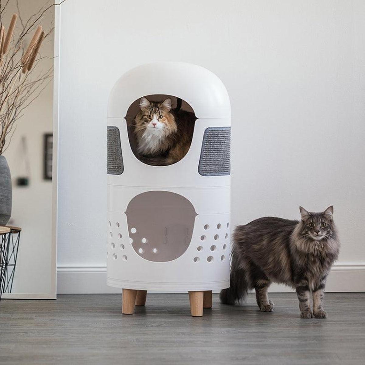 Meuble design pour chat : Catrub one répond à tous ses besoins - kasibe