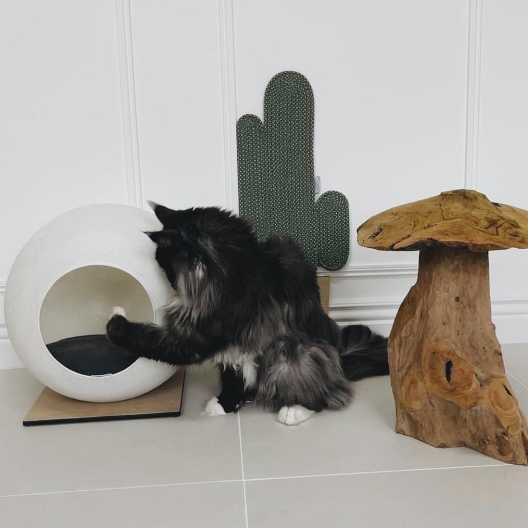 Meuble pour chat design - SQUARE - Kasibe