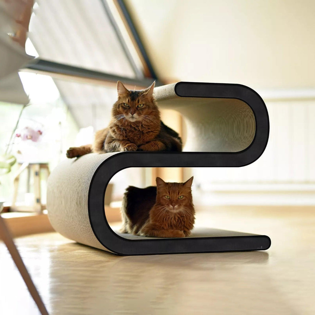 Meuble pour chat - LIGNE S - Kasibe