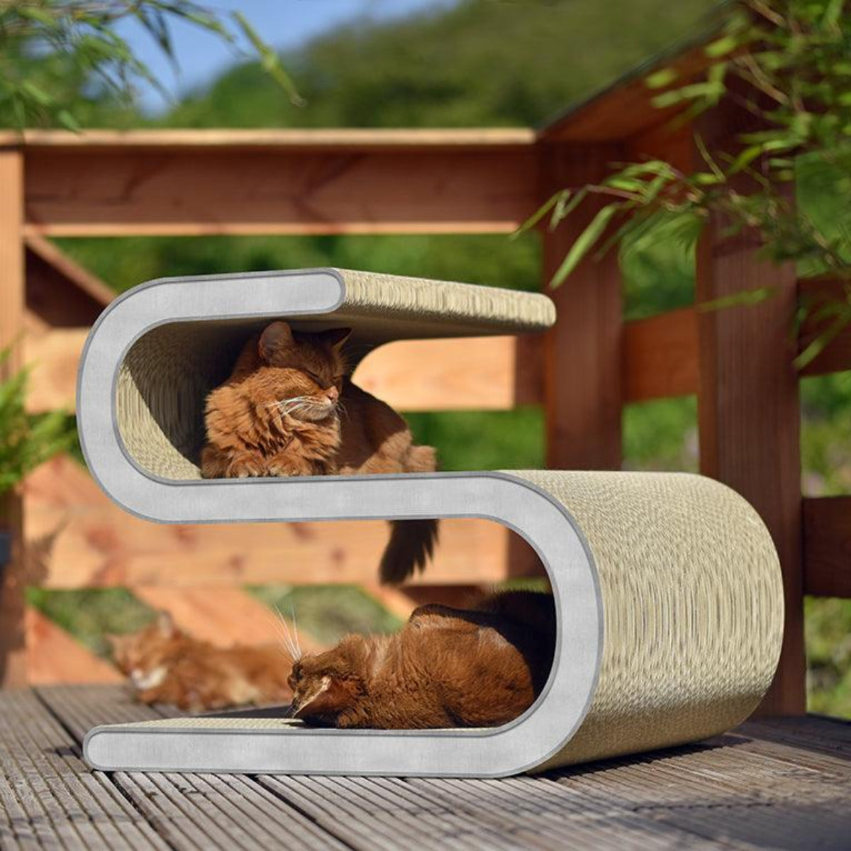 Meuble pour chat - LIGNE S - Kasibe