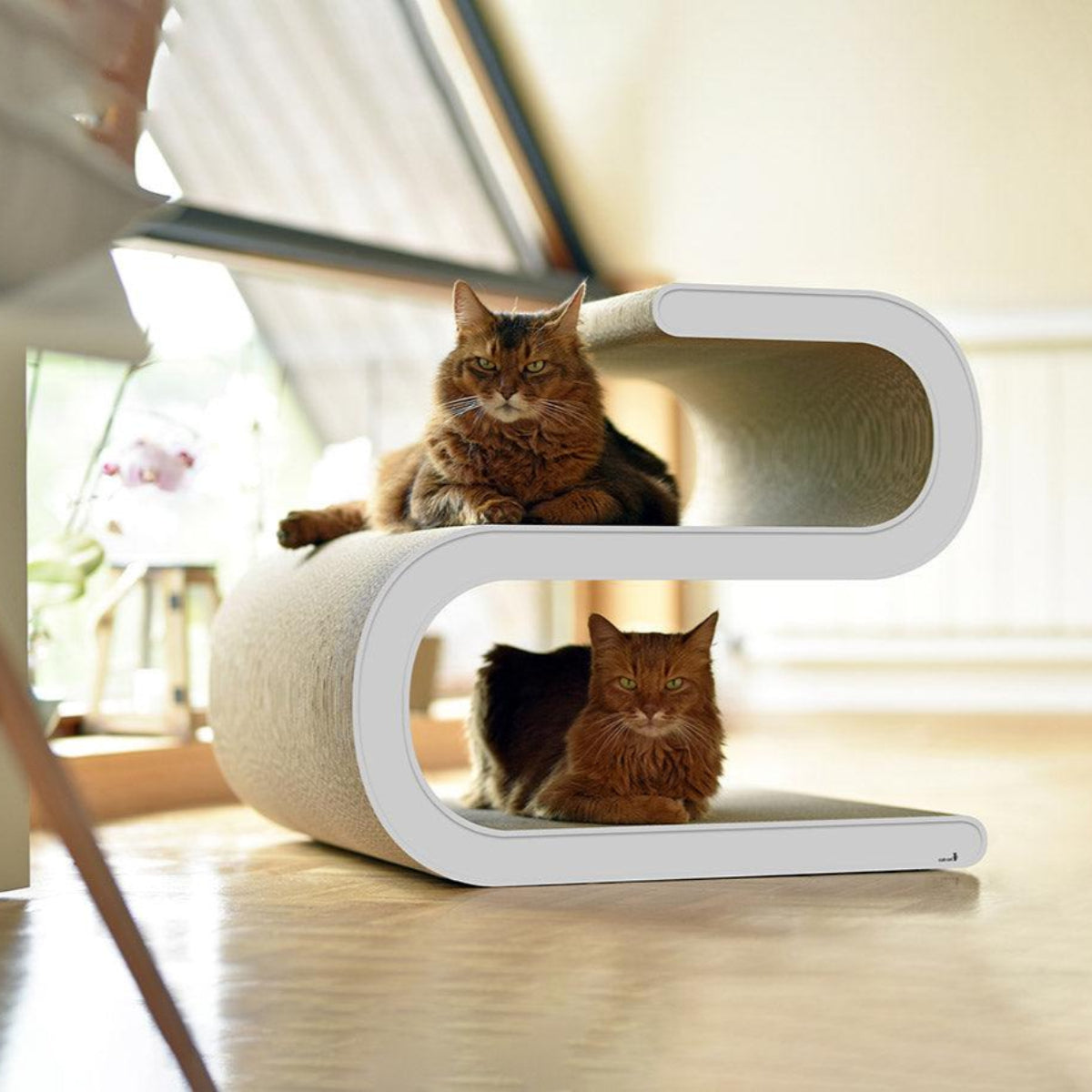 Meuble pour chat - LIGNE S - Kasibe