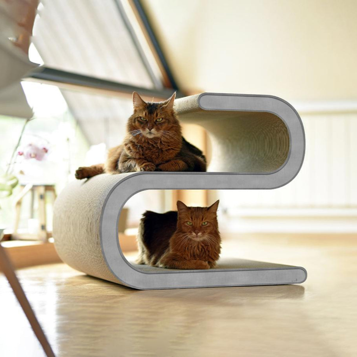 Meuble pour chat - LIGNE S - Kasibe