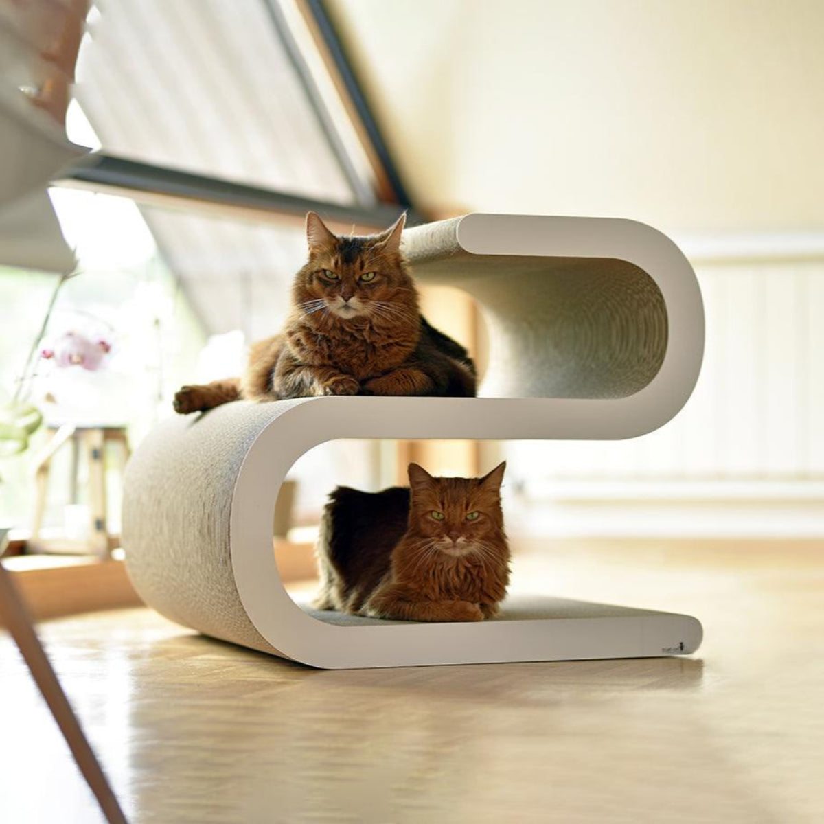Meuble pour chat - LIGNE S - Kasibe