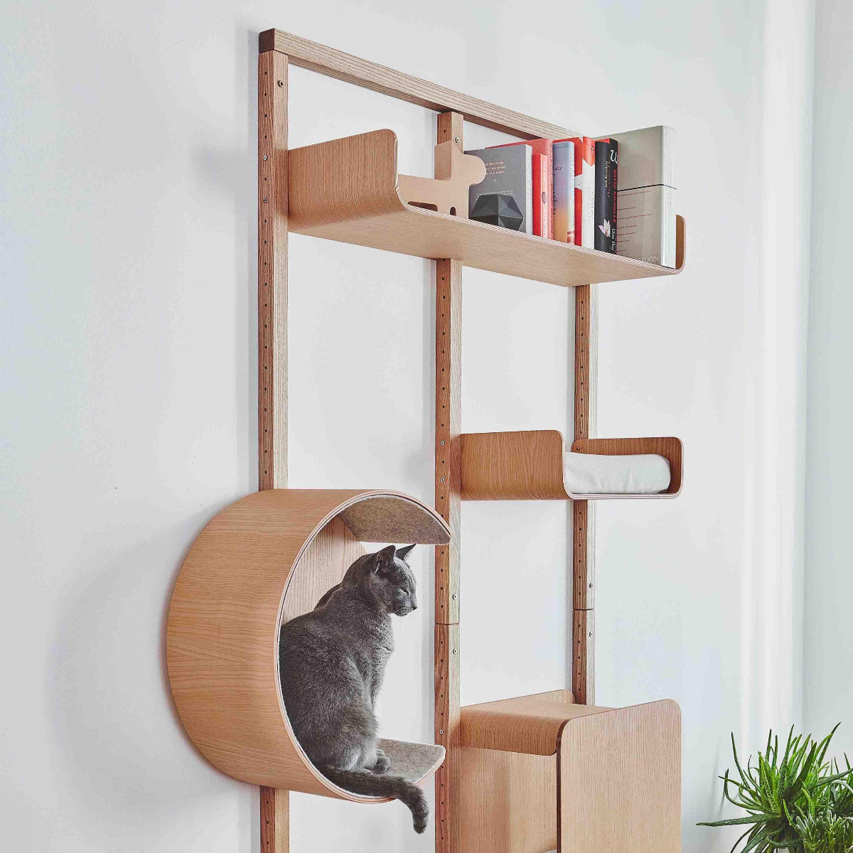 Mur d'escalade modulable pour chat - ALTO - Kasibe