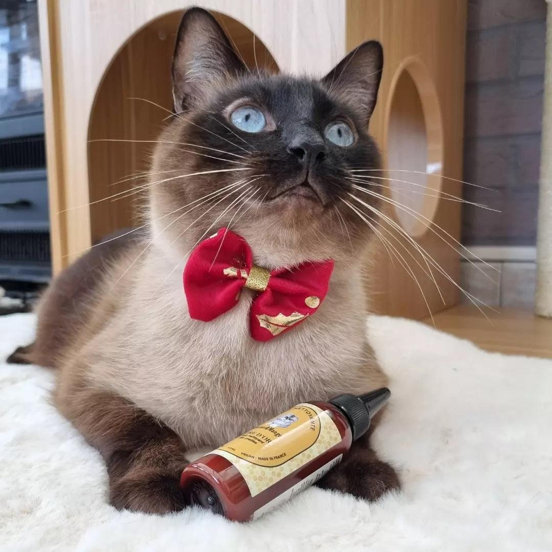 Nettoyant pour les oreilles du chat - CIRE D'OR - Kasibe