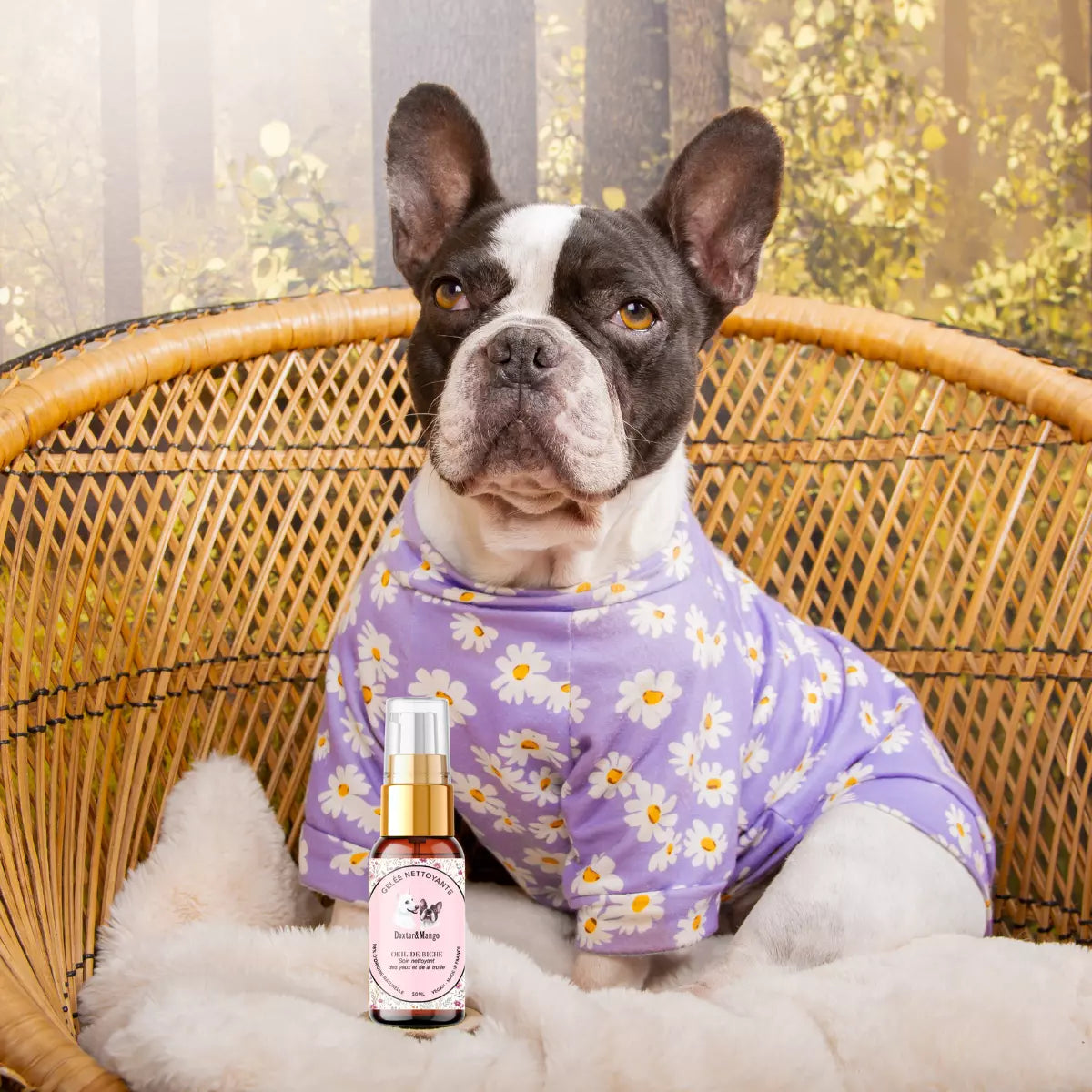 Nettoyant pour les yeux du chien - ŒIL DE BICHE - Kasibe