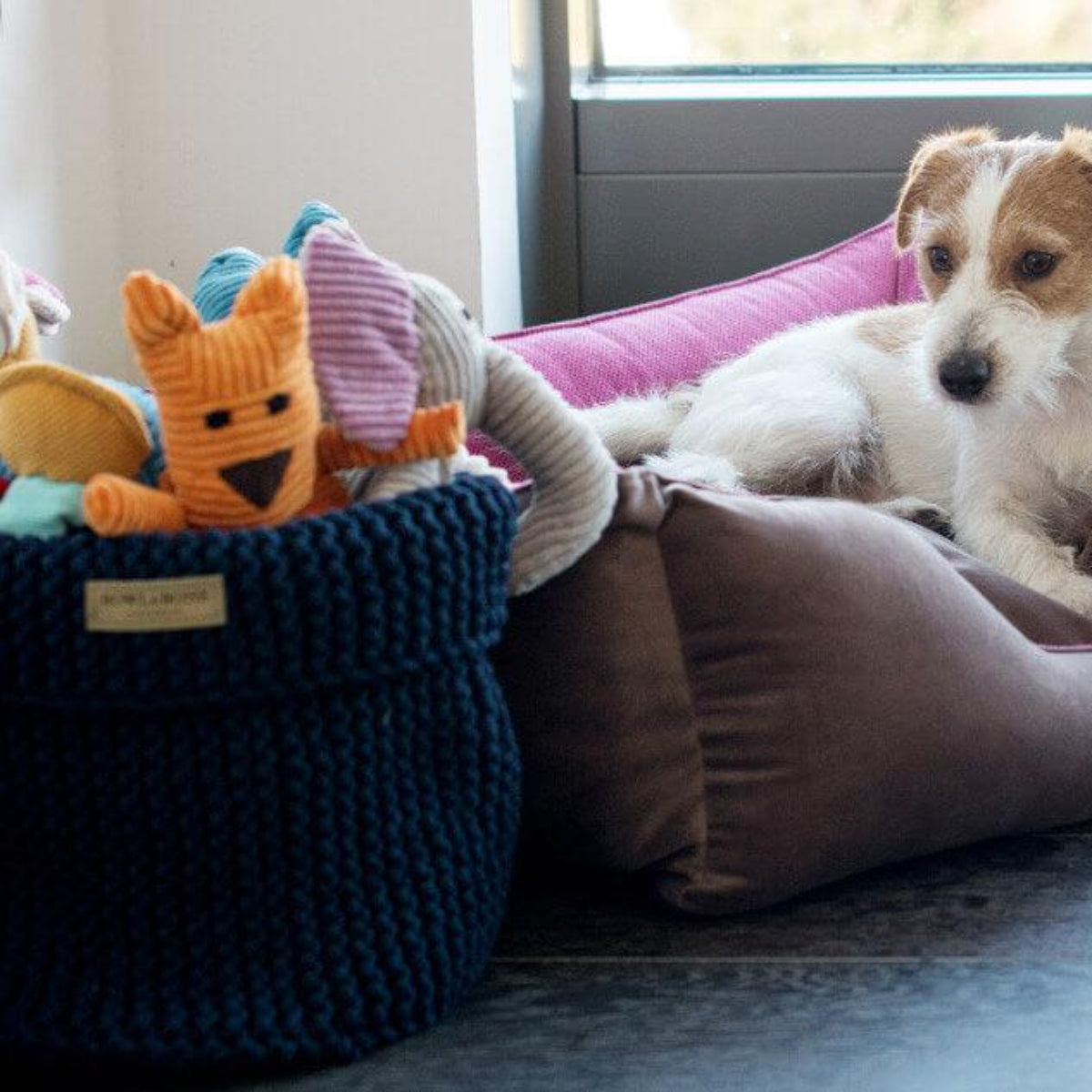 Panier à jouets pour chien - COTTON - Kasibe