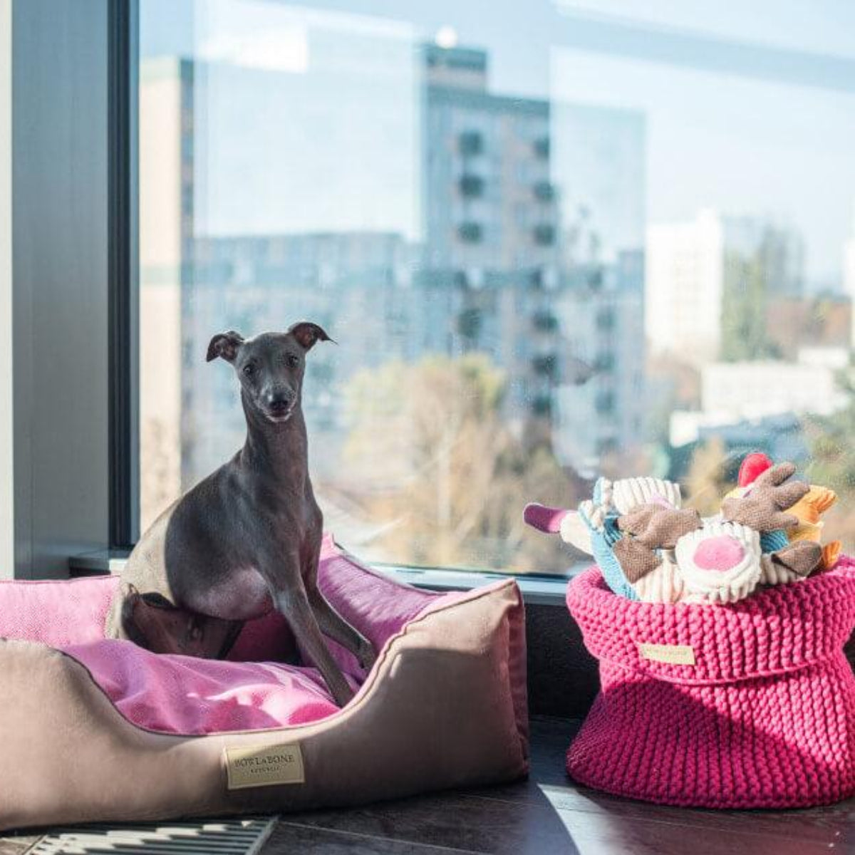 Panier à jouets pour chien - COTTON - Kasibe