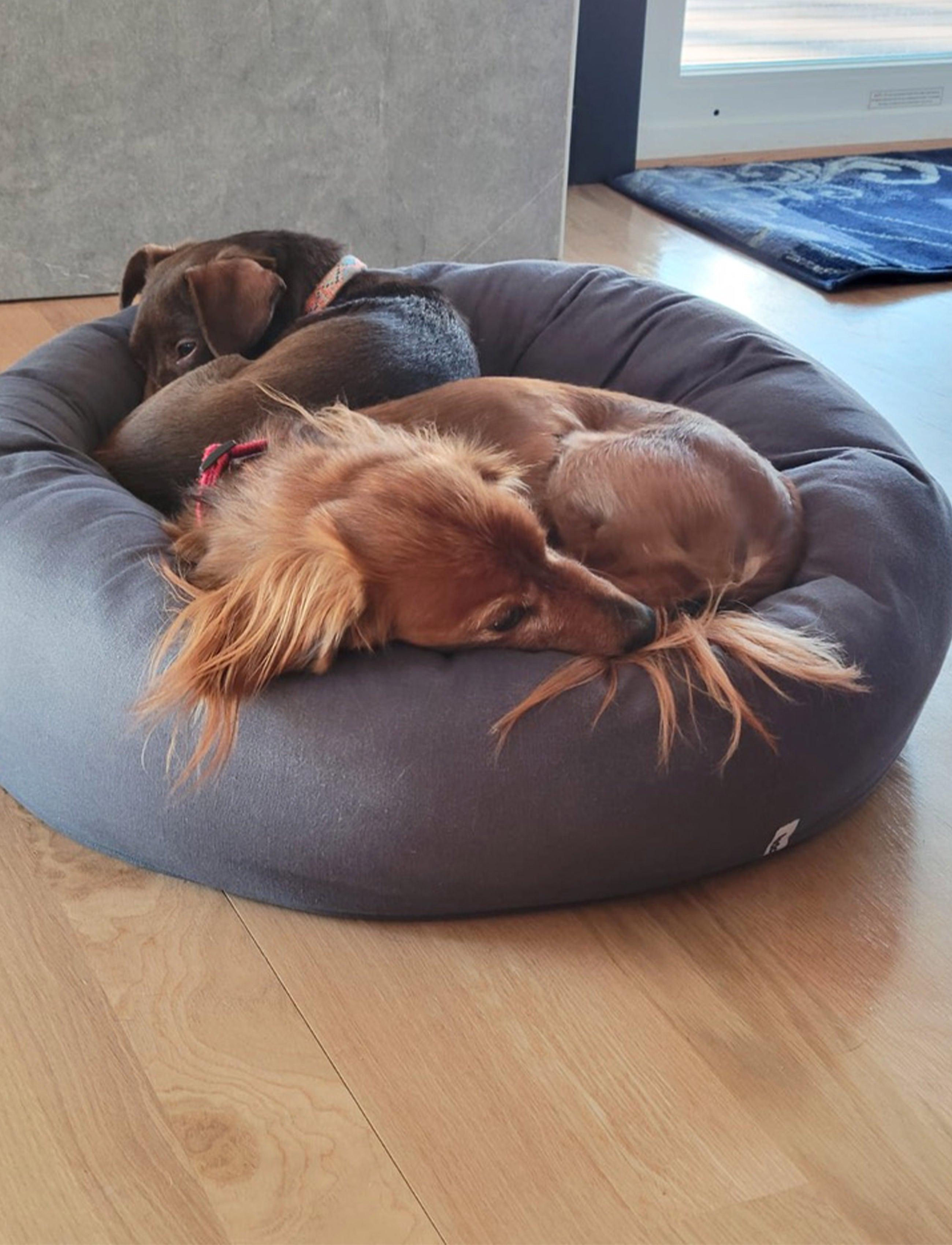 Panier apaisant pour chien - DONUT - Kasibe