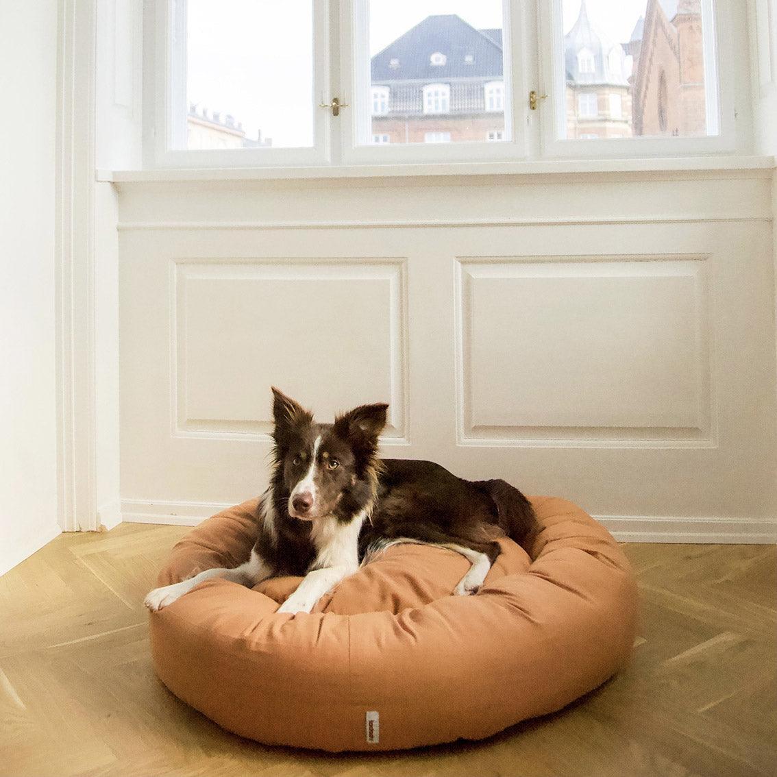 Panier apaisant pour chien - DONUT - Kasibe