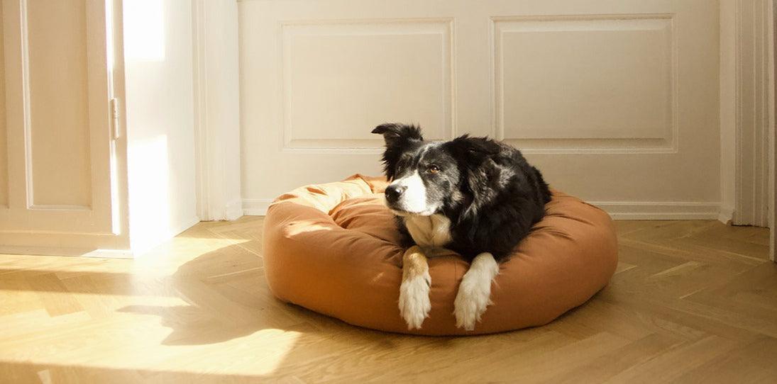 Panier apaisant pour chien - DONUT - Kasibe