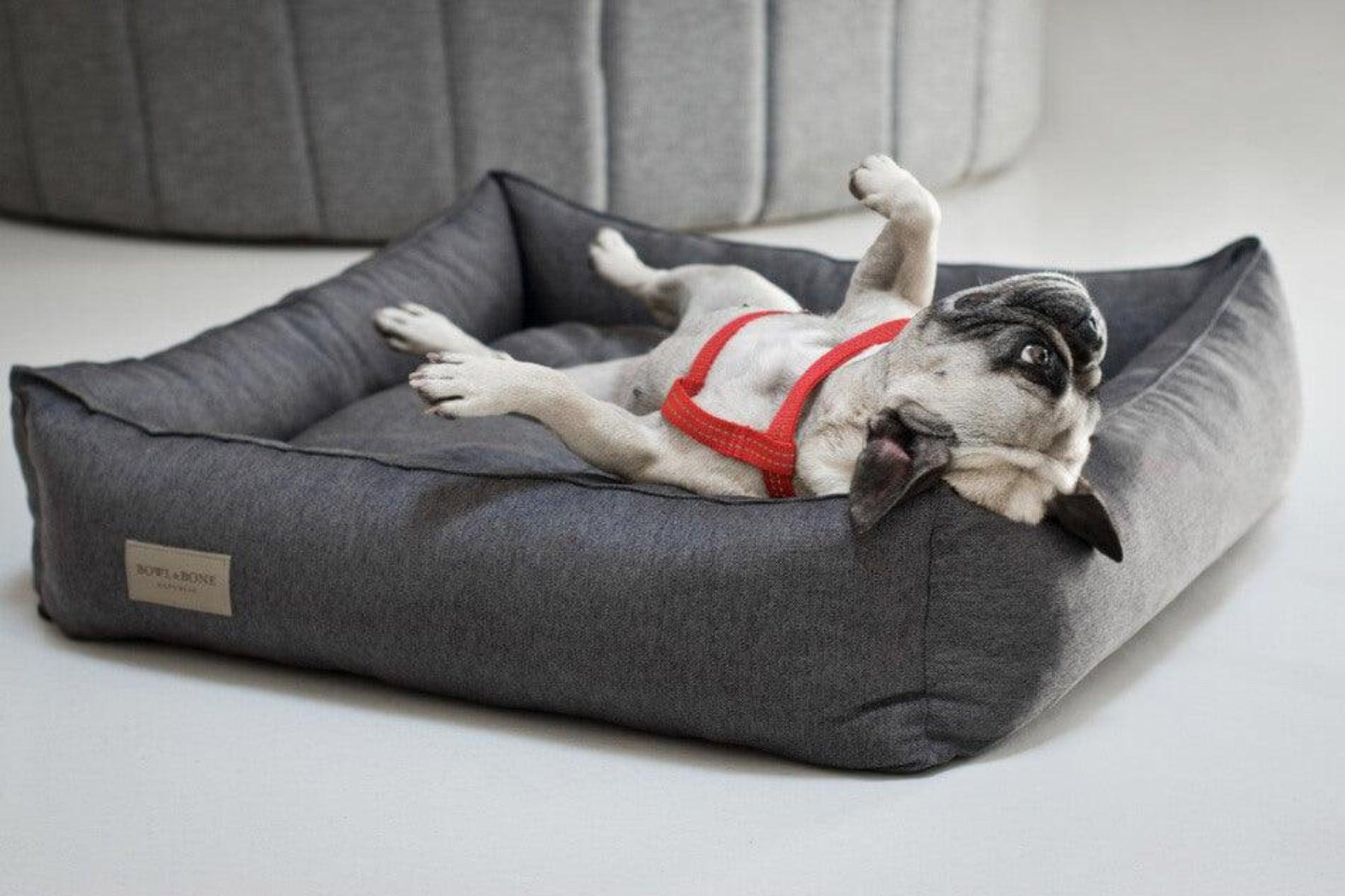 Panier chic pour chien - URBAN - Kasibe
