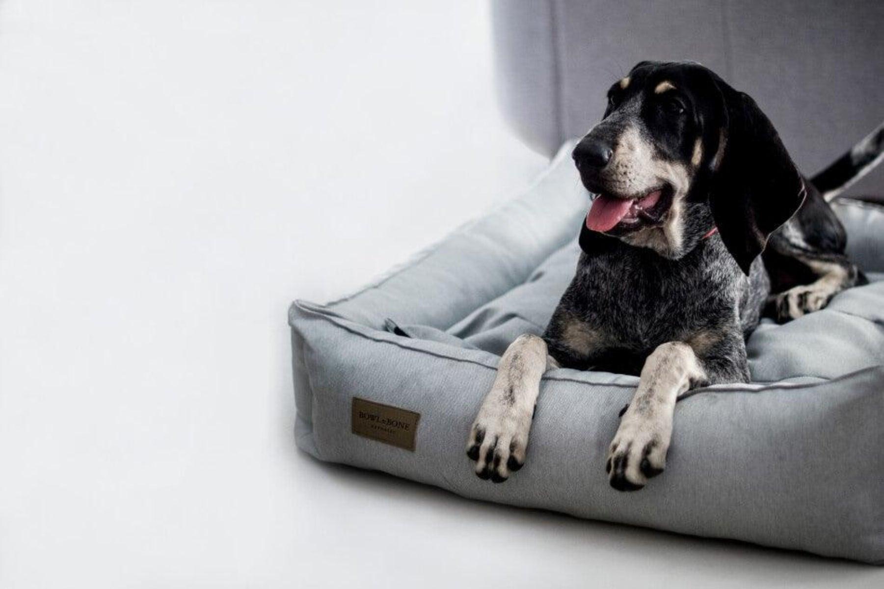 Panier chic pour chien - URBAN - Kasibe