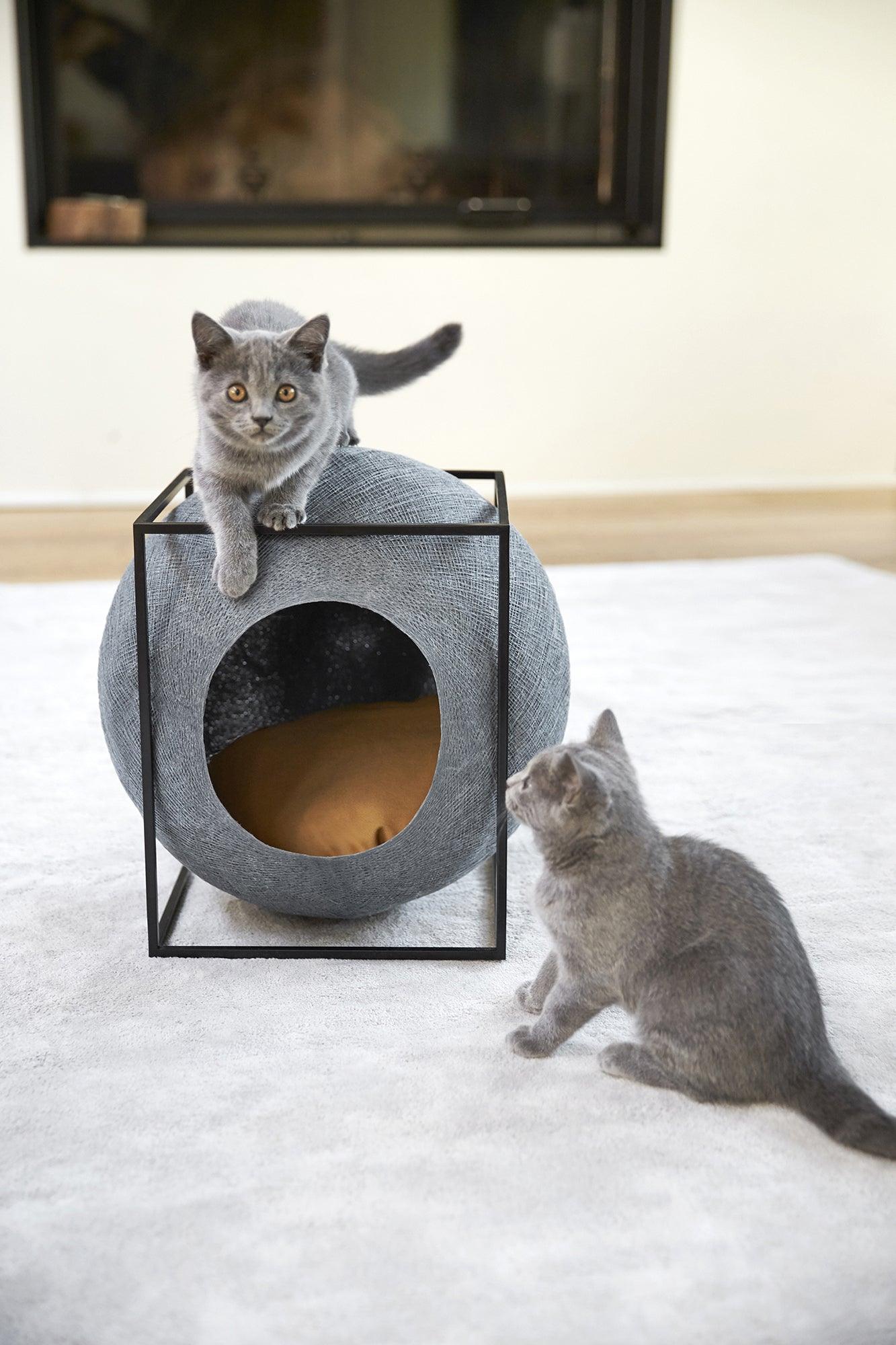 Panier design pour chat - CUBE - Kasibe