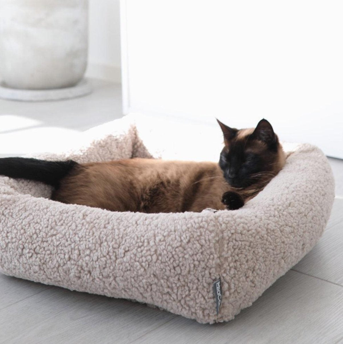 Panier doux pour chat - SENSO - Kasibe